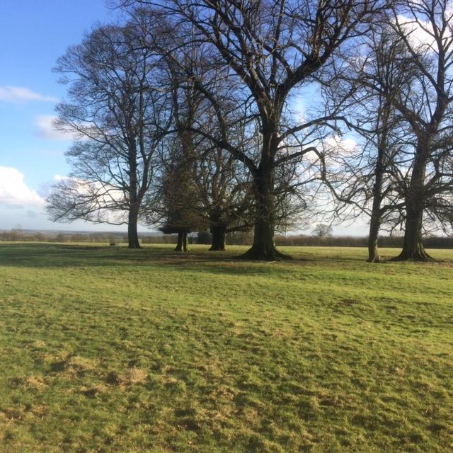 0 bedroom property in Waltham On The Wolds